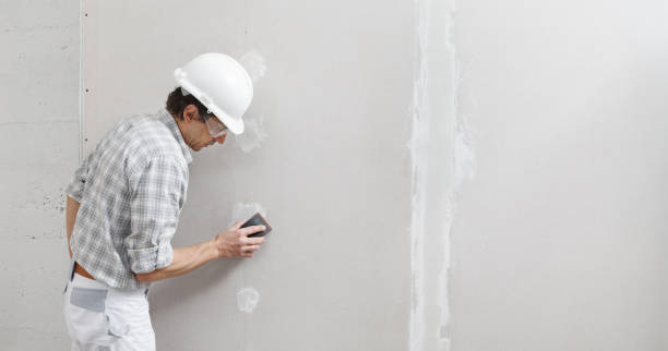 Best Environmental Consulting for Mold Prevention  in USA